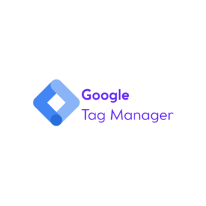 Google Tag Manager Category